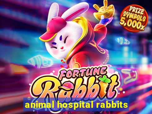 animal hospital rabbits